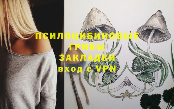 амф Бронницы