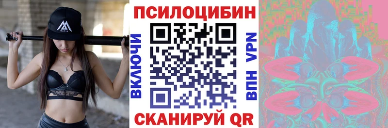 Псилоцибиновые грибы Cubensis  KRAKEN ONION  Клин 